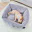 Fleece with Cushion - Lovepawz