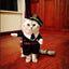 Police Officer Themed Cat Costume - Lovepawz