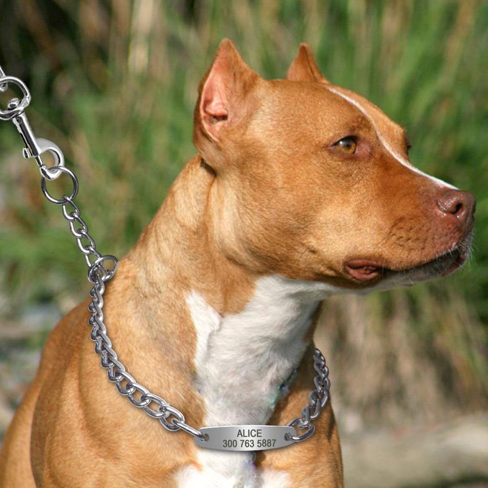 Personalized Chain Slip Collar - Lovepawz