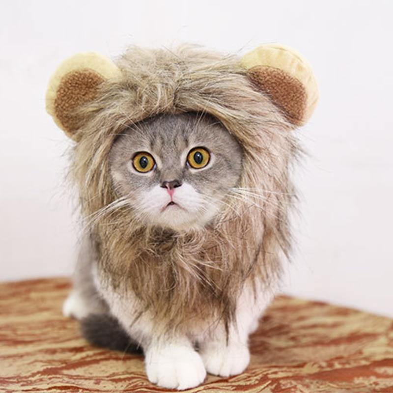 Lion Mane Dog Cat Wig Hat Costume - Lovepawz