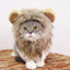 Lion Mane Dog Cat Wig Hat Costume - Lovepawz
