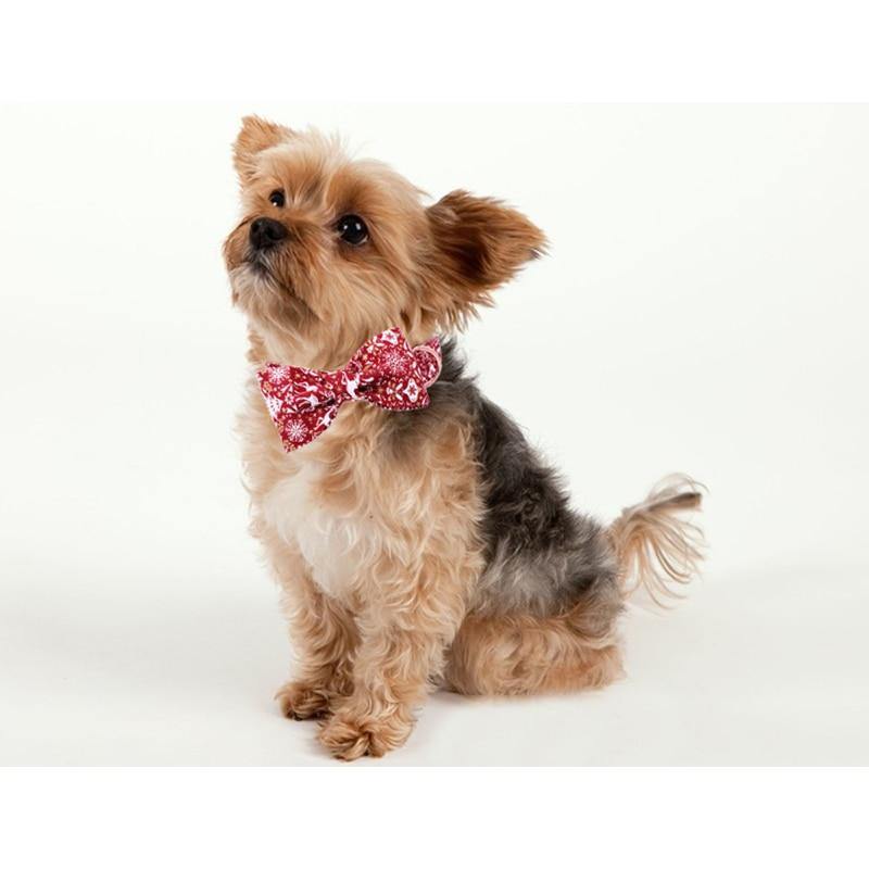 Christmas Snowflake Collar - Lovepawz