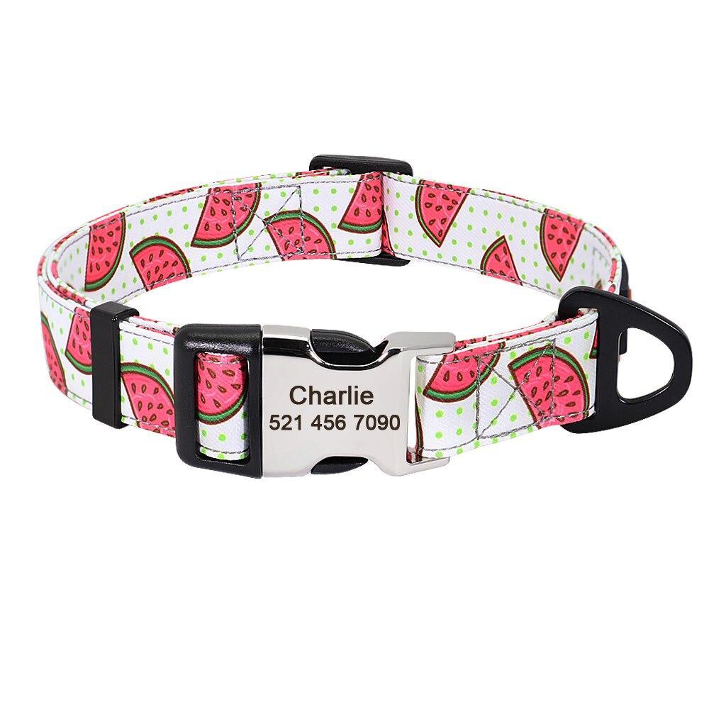 Watermelon Sugar Collar Sets - Lovepawz