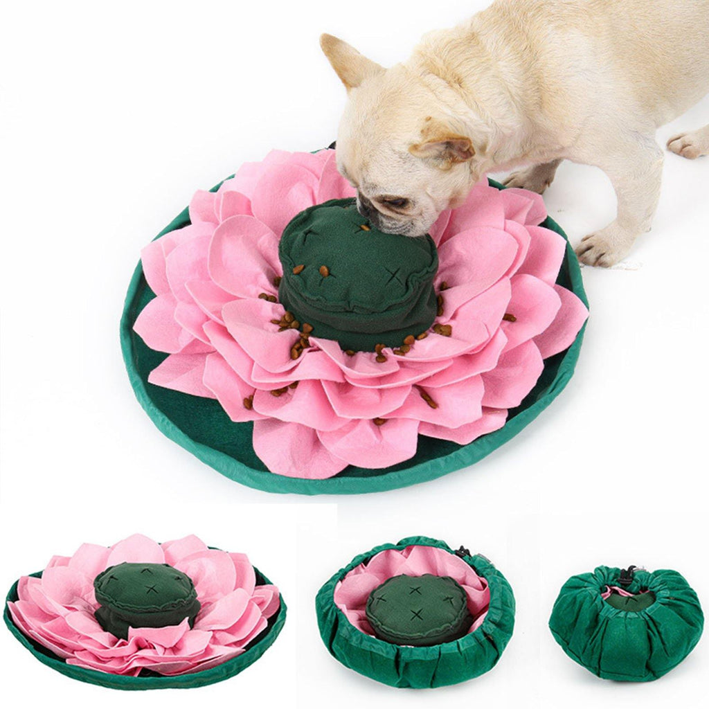 Training Pet Snuffle Mat - Lovepawz - Lovepawz
