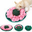 Training Pet Snuffle Mat - Lovepawz - Lovepawz