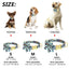 Personalized Artful Bow Collar - Lovepawz