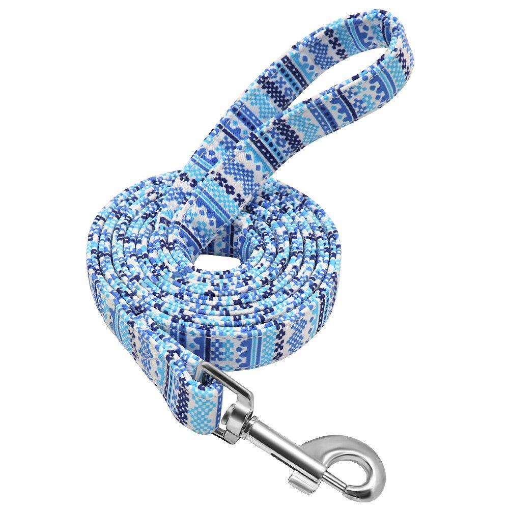 Graffiti Leash - Lovepawz