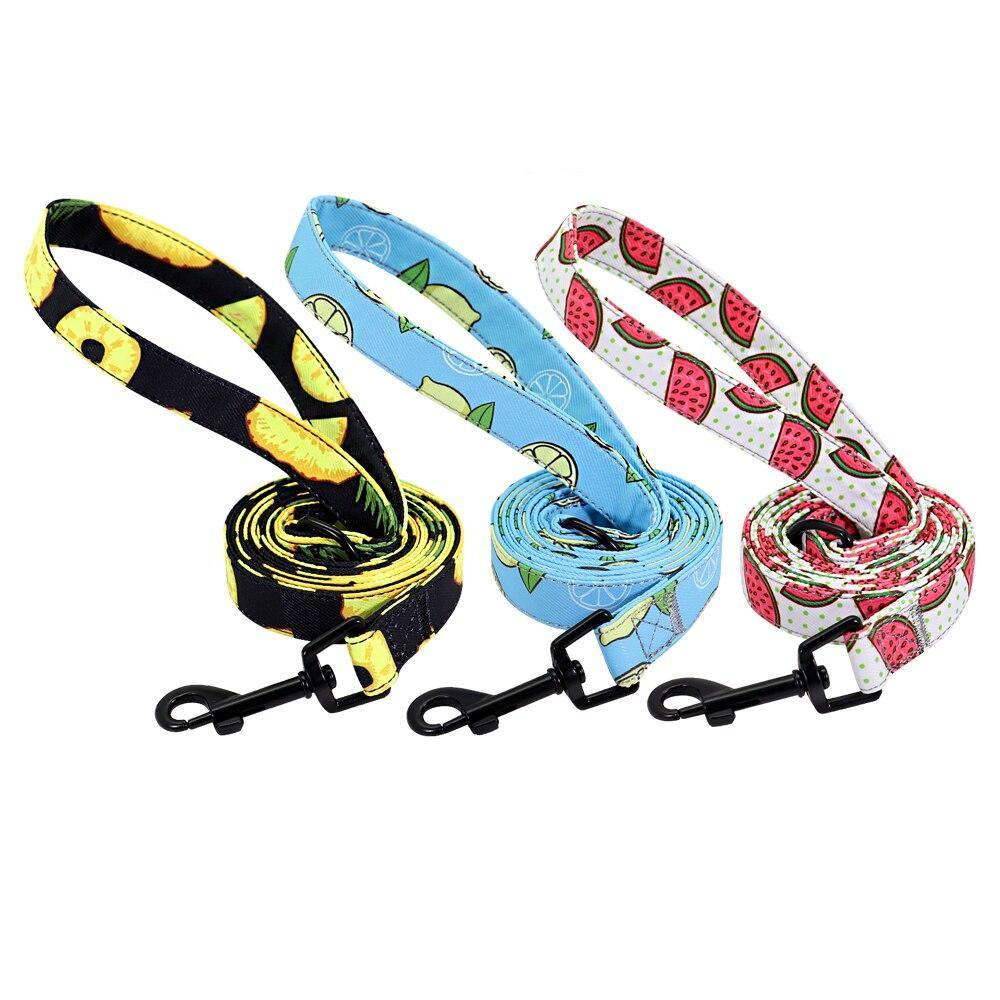 Watermelon Sugar Collar Sets - Lovepawz