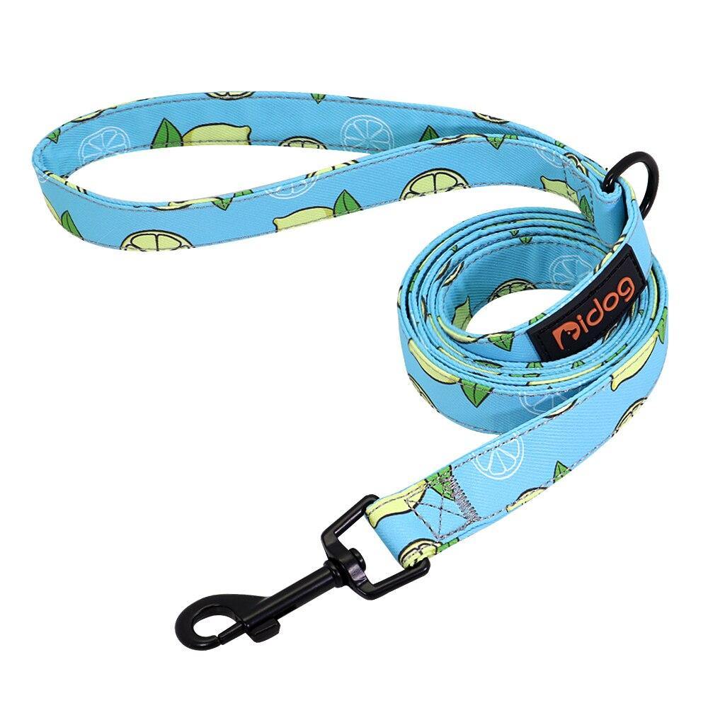 Watermelon Sugar Collar Sets - Lovepawz