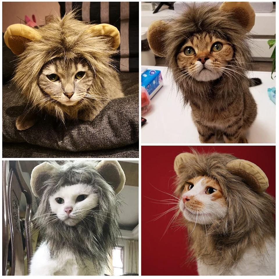 Lion Mane Dog Cat Wig Hat Costume - Lovepawz