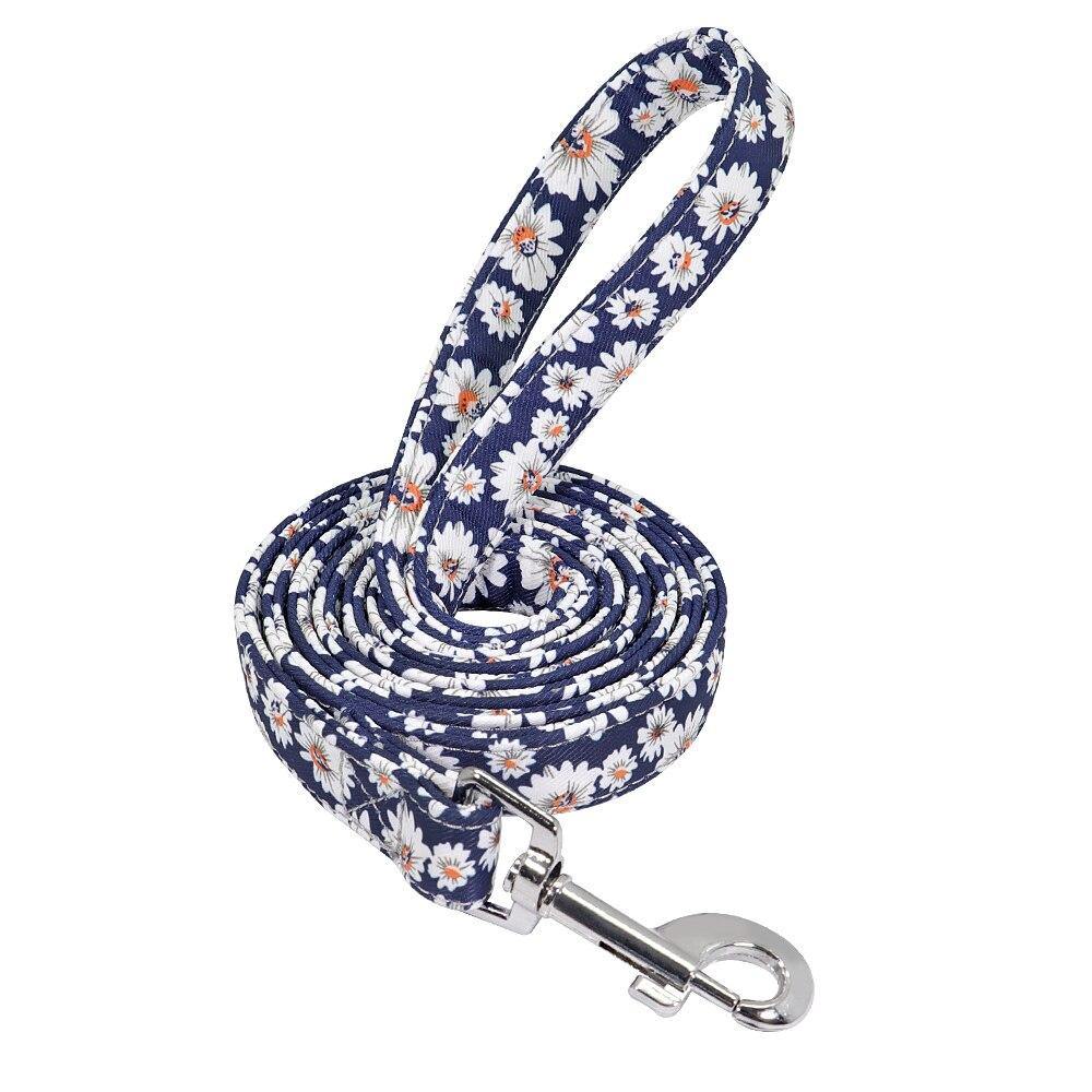 Petsense Leash - Lovepawz