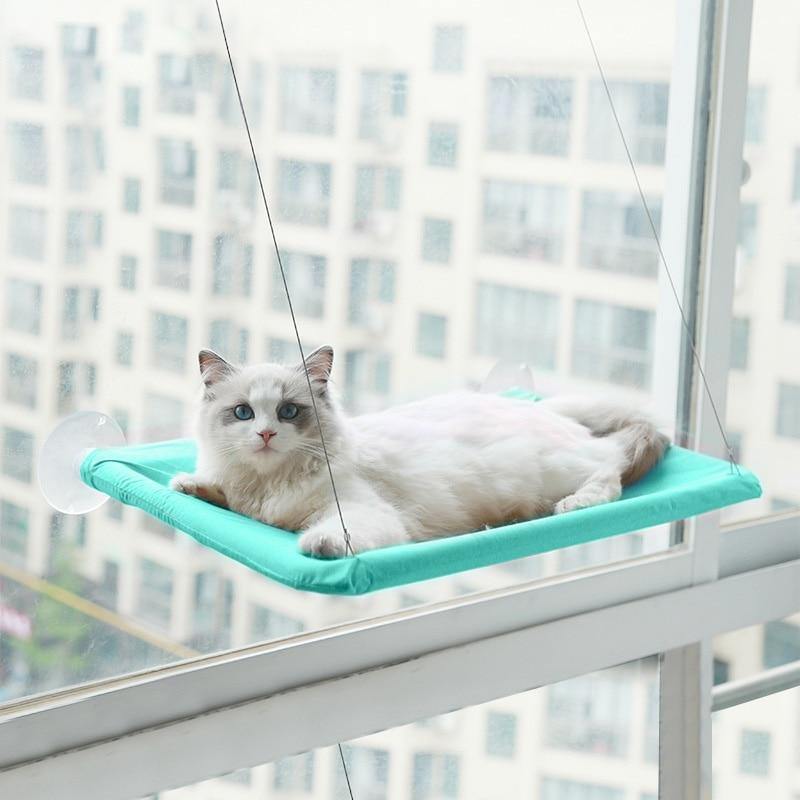 Cat Window Hammock - Lovepawz