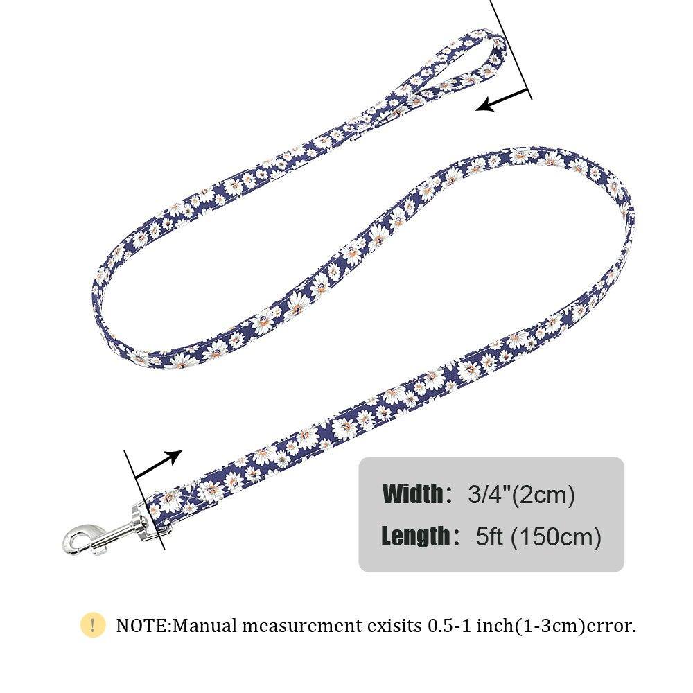 Petsense Leash - Lovepawz
