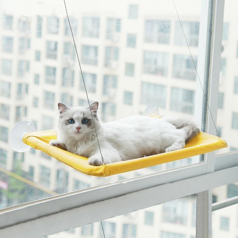 Cat Window Hammock - Lovepawz