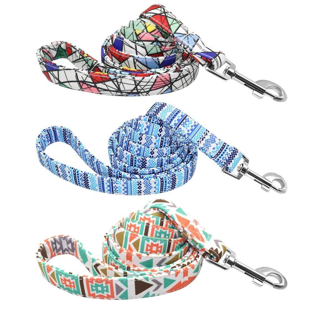 Graffiti Leash - Lovepawz
