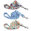 Graffiti Leash - Lovepawz