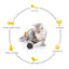 Tumbler Swing Toys for Cats Kitten Interactive Balance Cat Chasing Toy - Lovepawz