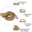 Tactical Bungee Dog Leash Quick Release Lead - Lovepawz