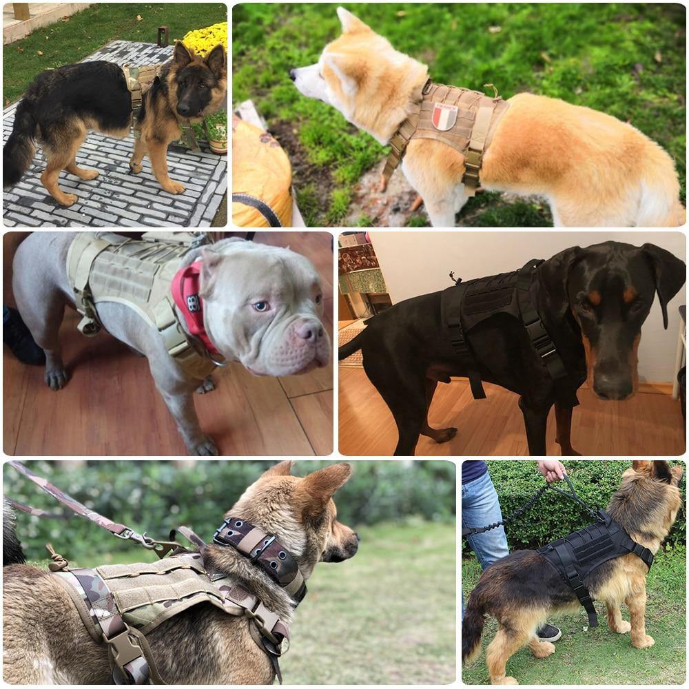 AntiPullsta-Tug Free Dog Harness - Lovepawz