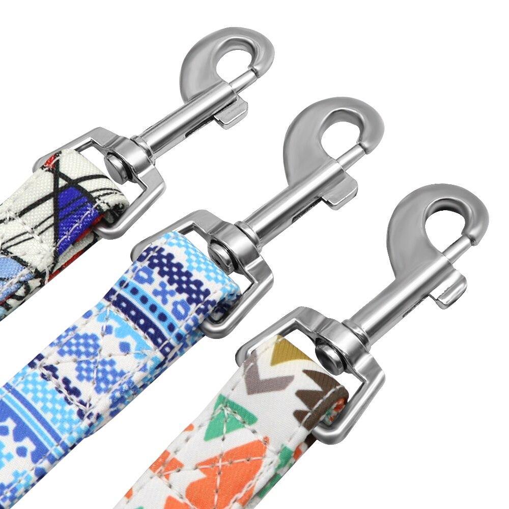 Graffiti Leash - Lovepawz