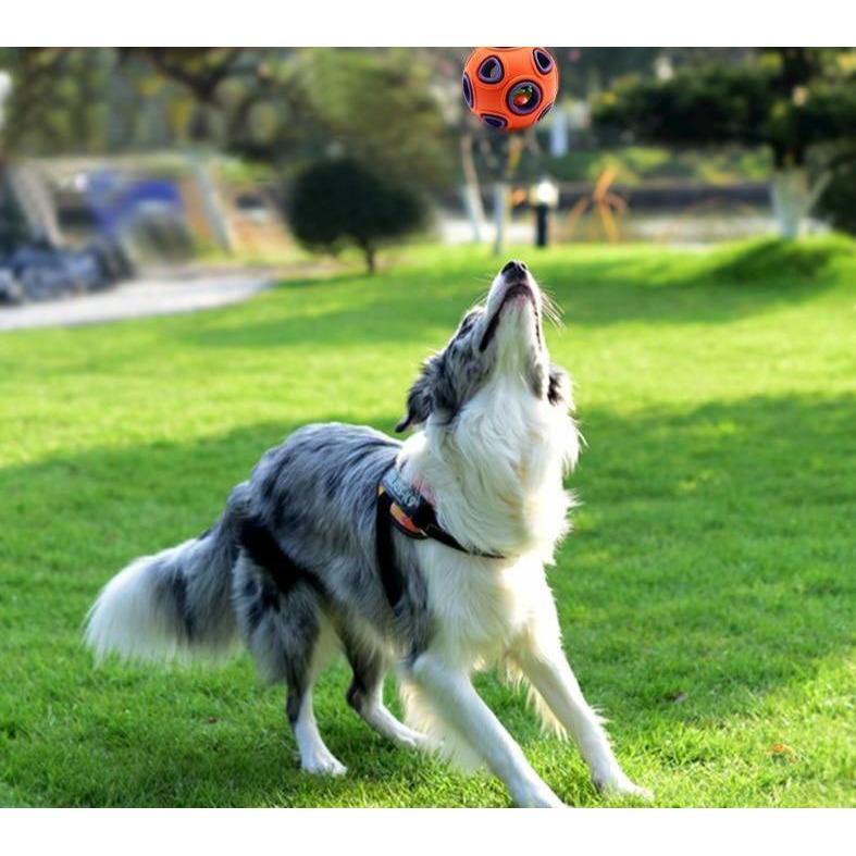 Interactive Ball - Lovepawz