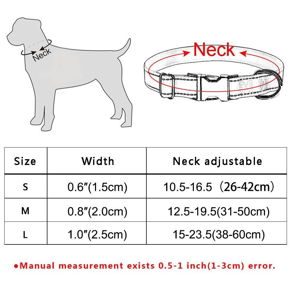 Floral Engraved Dog Collar - Lovepawz