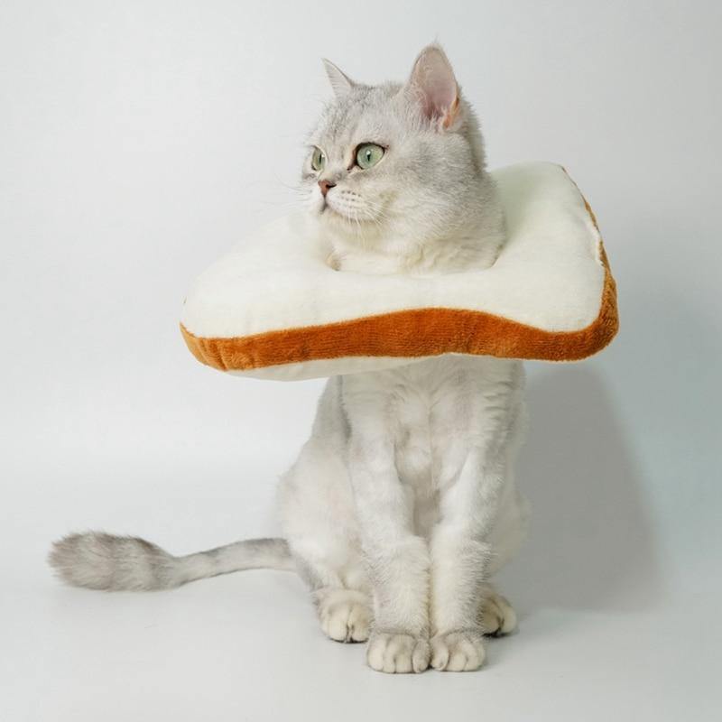 Cat Toasted Head Costume - Lovepawz