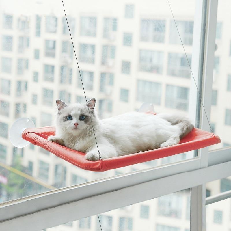 Cat Window Hammock - Lovepawz