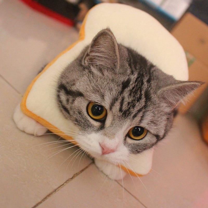 Cat Toasted Head Costume - Lovepawz