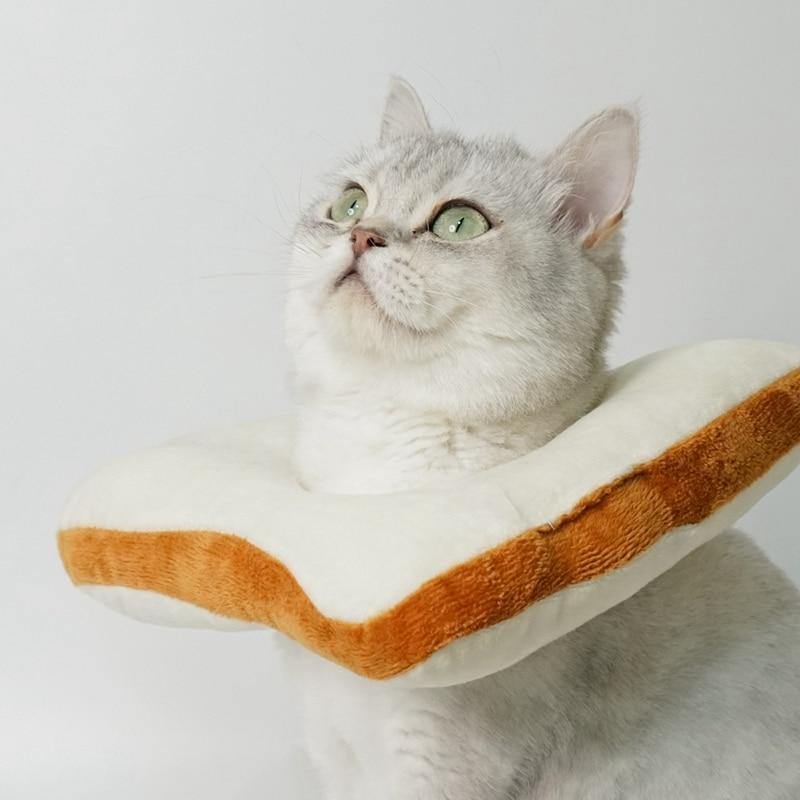 Cat Toasted Head Costume - Lovepawz