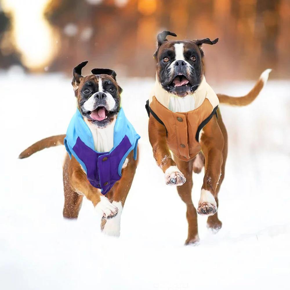 Large Dog Winter Jacket Coat - Lovepawz