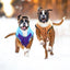 Large Dog Winter Jacket Coat - Lovepawz