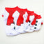 Christmas Spirit Vests - Lovepawz
