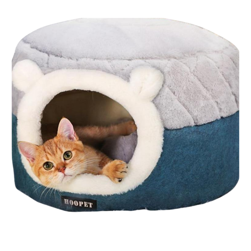 Novelty hot sale cat bed