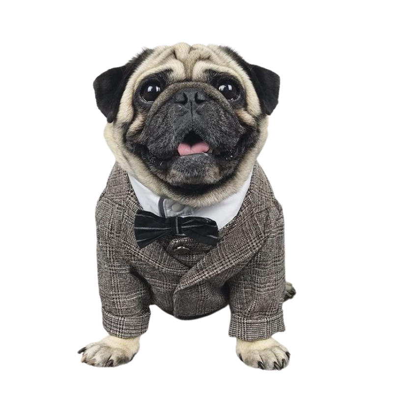 Tuxedo Cute Pug Clothes Pet Clothes Dog Shirt Dog Tuxedo Bow Tie