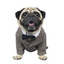 Dog Wedding Party Suit Tuxedo Coat Costume - Lovepawz
