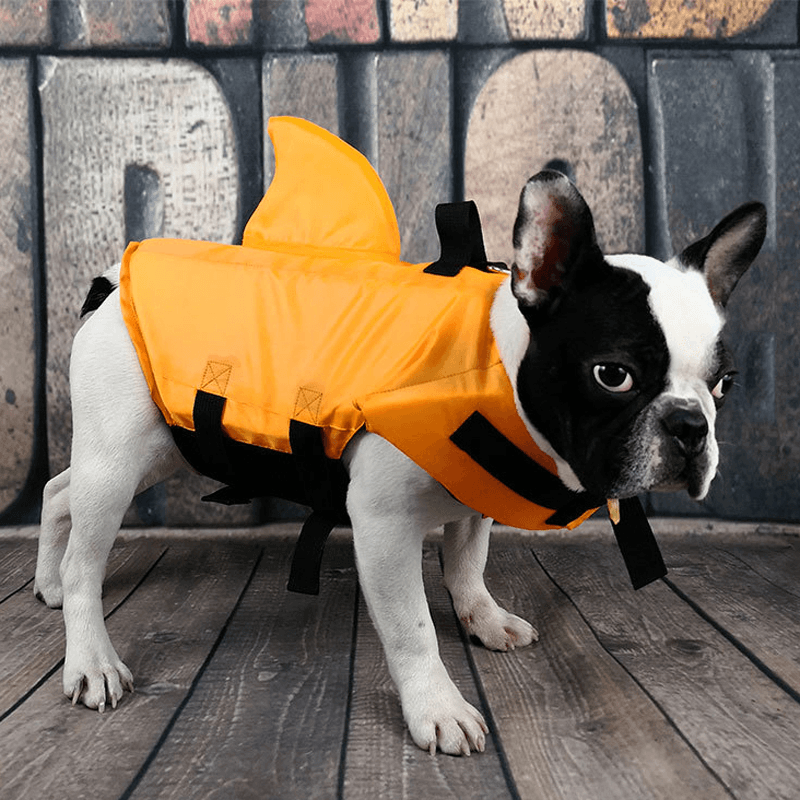SharkPal- Pets Life Jacket - Lovepawz