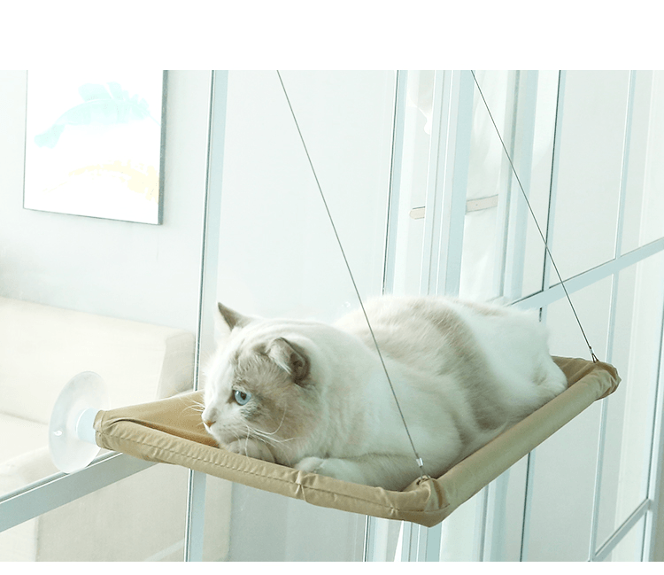 Cat Window Hammock - Lovepawz