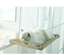 Cat Window Hammock - Lovepawz