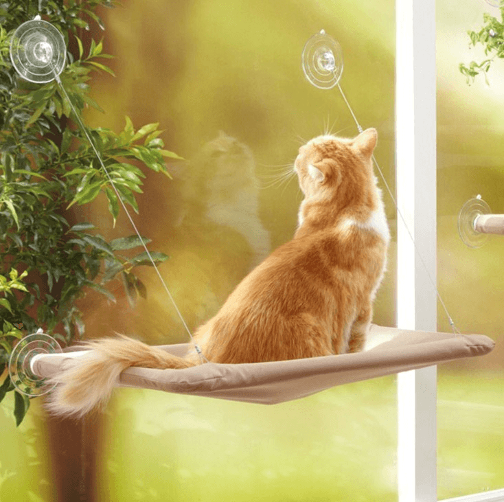 Cat Window Hammock - Lovepawz