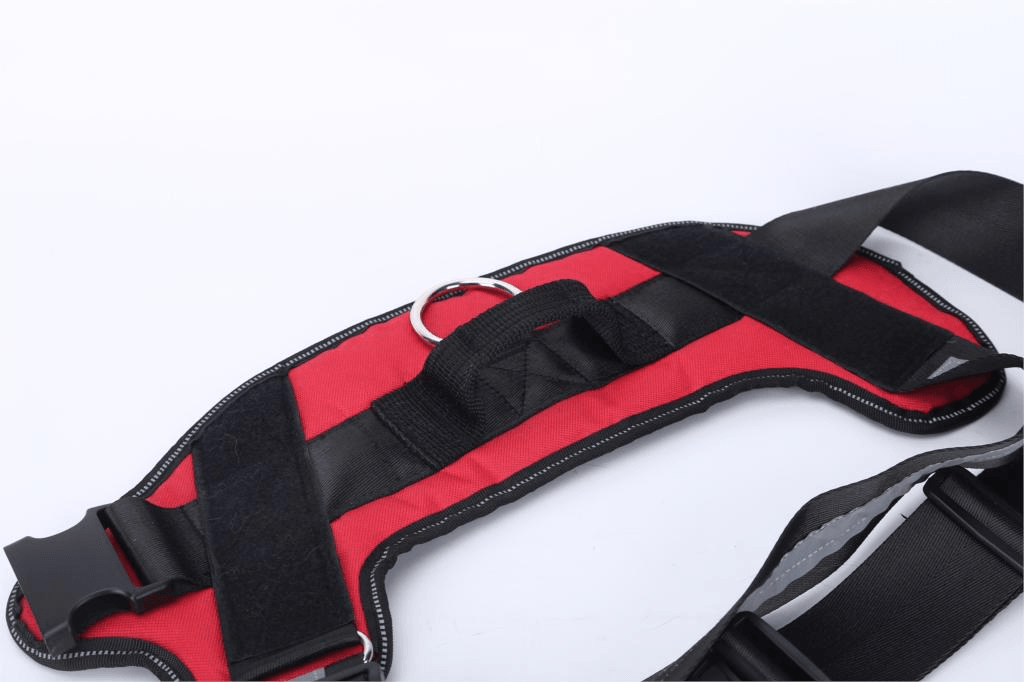 Strap'n'walk Custom Dog Harness - Lovepawz