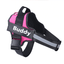 Strap'n'walk Custom Dog Harness - Lovepawz
