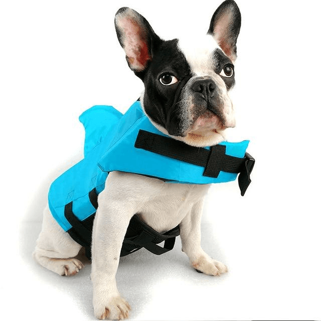 SharkPal- Pets Life Jacket - Lovepawz