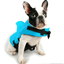 SharkPal- Pets Life Jacket - Lovepawz