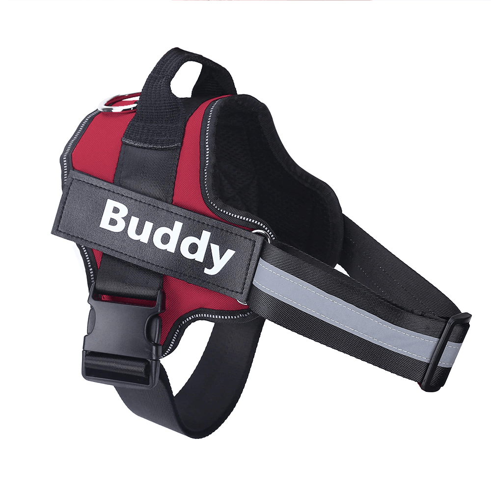 Strap'n'walk Custom Dog Harness - Lovepawz