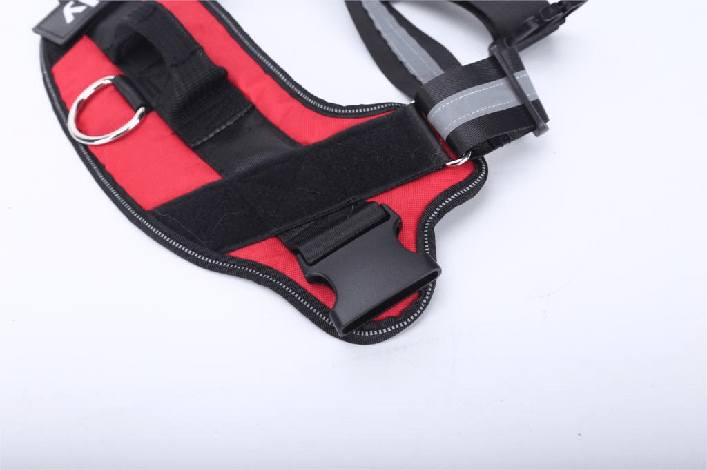 Strap'n'walk Custom Dog Harness - Lovepawz