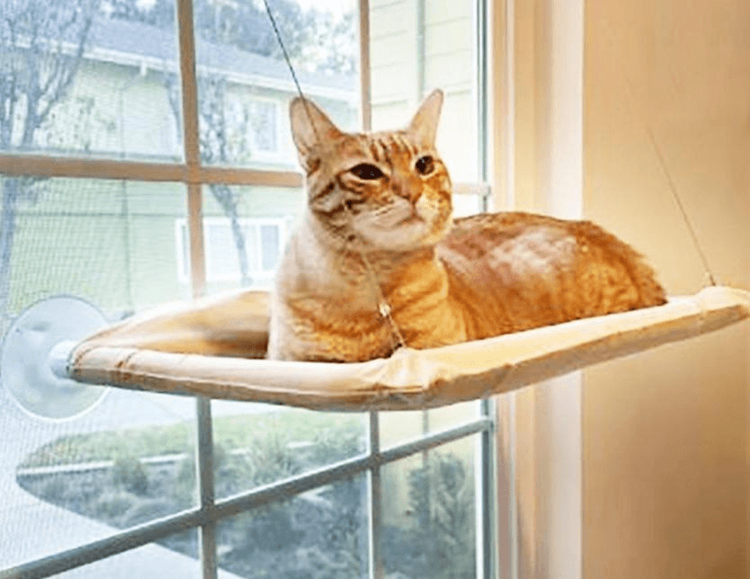 Cat Window Hammock - Lovepawz