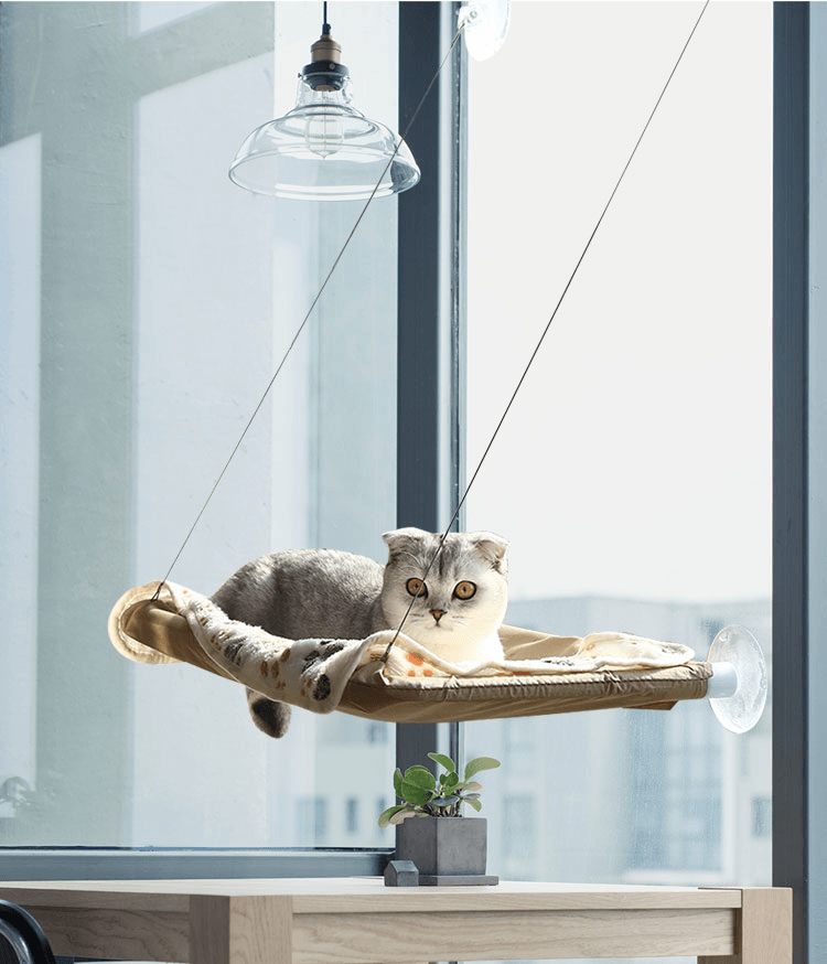 Cat Window Hammock - Lovepawz