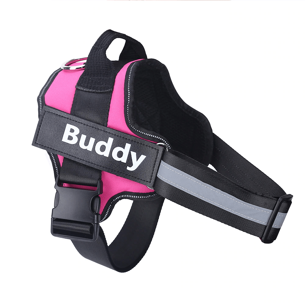 Strap'n'walk Custom Dog Harness - Lovepawz