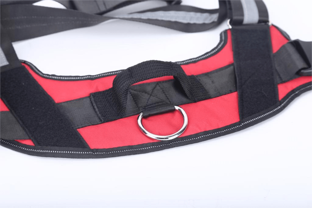 Strap'n'walk Custom Dog Harness - Lovepawz